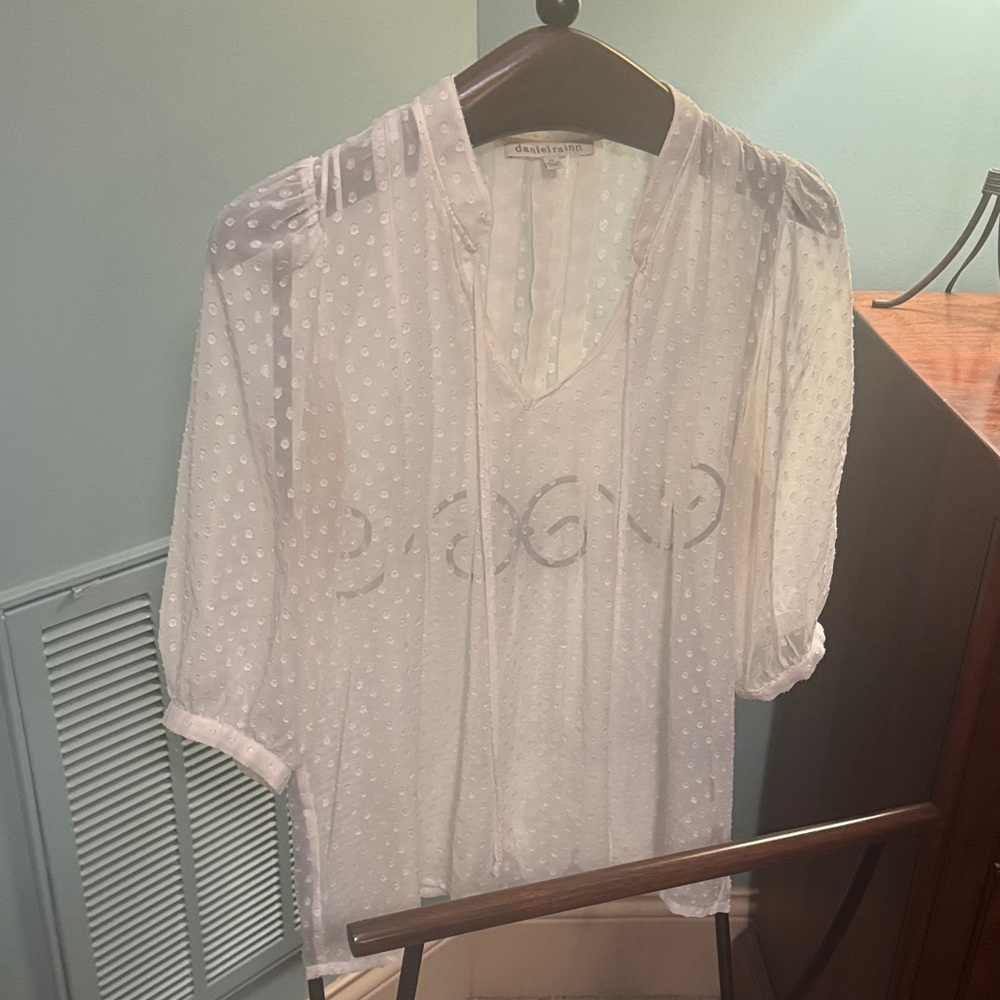 Daniel Rainn Sheer White Blouse with Dots